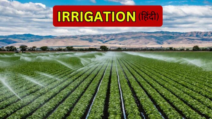 soil Irrigation