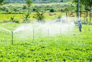 sprinkler irrigation method