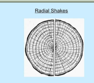 radial-shake