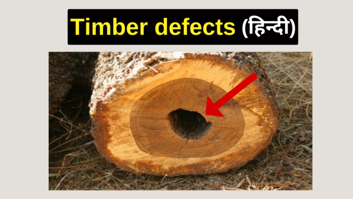Timber defects
