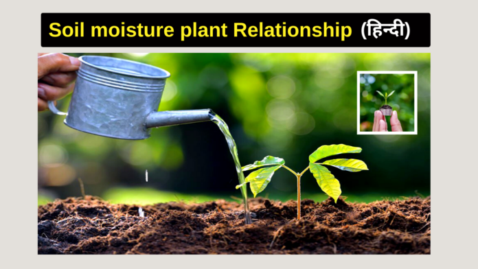 soil moisture plant relationship
